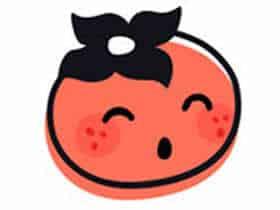 小柿饼 VIP v2.13.0特别版 『VIP高级功能/全部解锁』