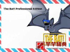 The Bat! Professional Edition v9.0.6