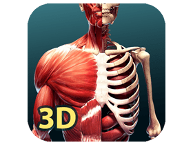 3D人体解剖图谱Complete 3D Human Body v2023.0.09高级版