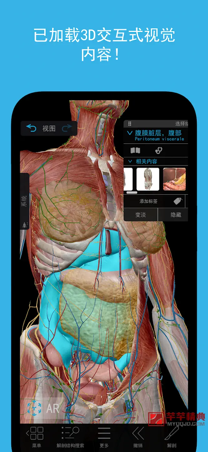 2023人体解剖学图谱Atlas v2023.04.011高级版