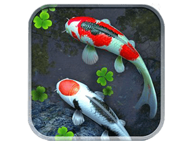Water Garden Premium鱼池 v1.85 for Android解锁完整版-锦鲤池塘动态壁纸