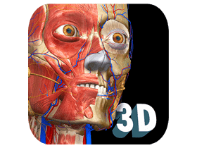 解剖学学习Anatomy Learning v2.1.374 for Android解锁完整版
