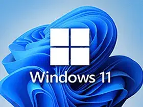 免费安装并激活Windows 11最新官方纯净版，无需联网也能一键安装系统
