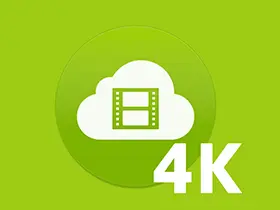 4K Video Downloader v4.30.0.5655中文便携版