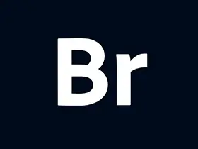 Adobe Bridge 2026 (v16.0.0.63.00) 破解版