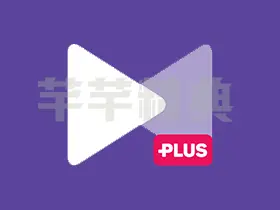 KMPlayer Plus v34.05.021纯净版|万能格式视频播放器