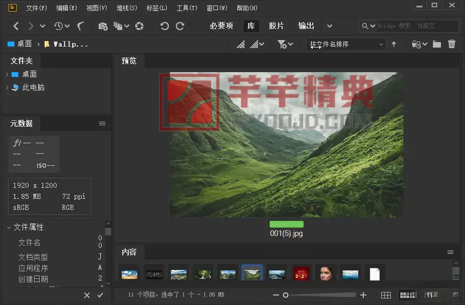 Adobe Bridge 2026 (v16.0.0.63.00) 破解版
