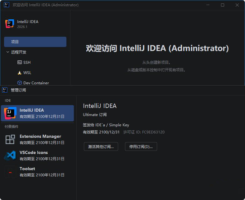IDEA2026中文破解版 IDEA 2026.1.0最新版